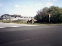 photos 2000-200901461
